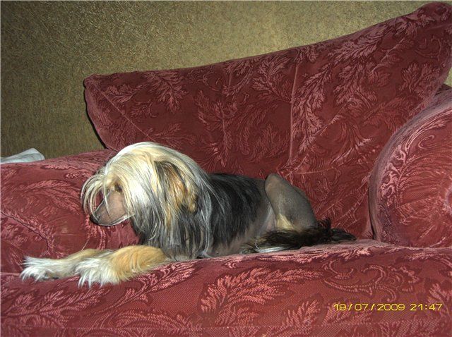 Sharman Zenna The Princess