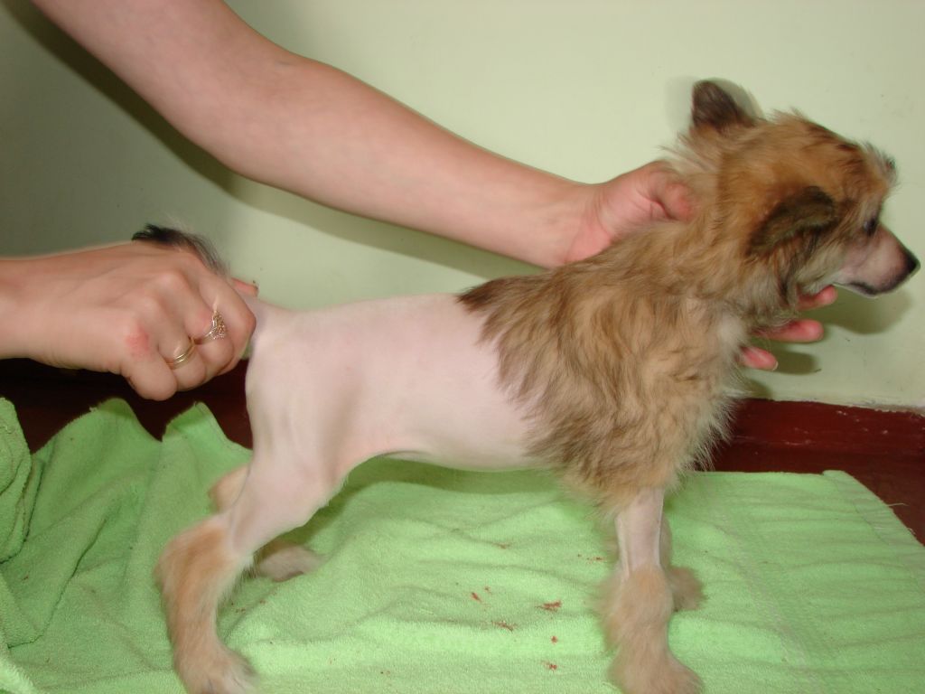 Jizel Maura Kerolayn