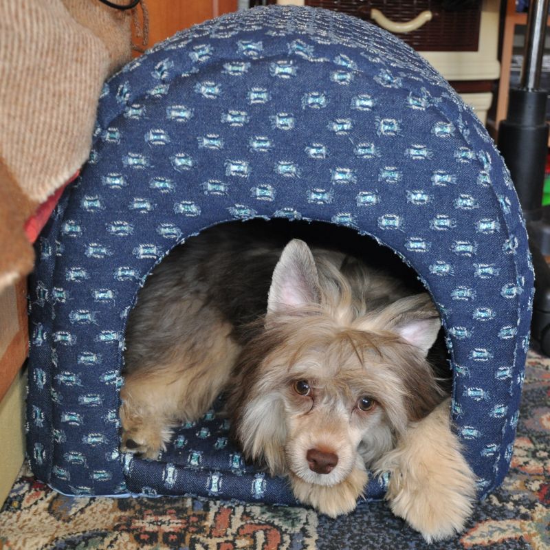 Status Imperial Key To Win