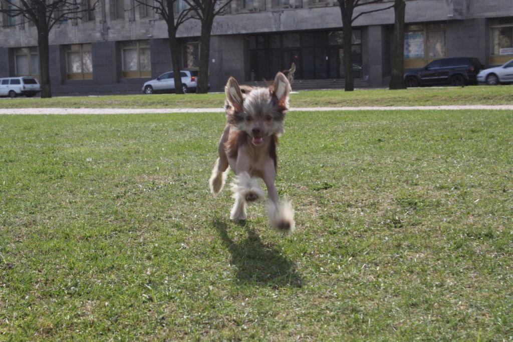 Status Imperial Karma Of Charme