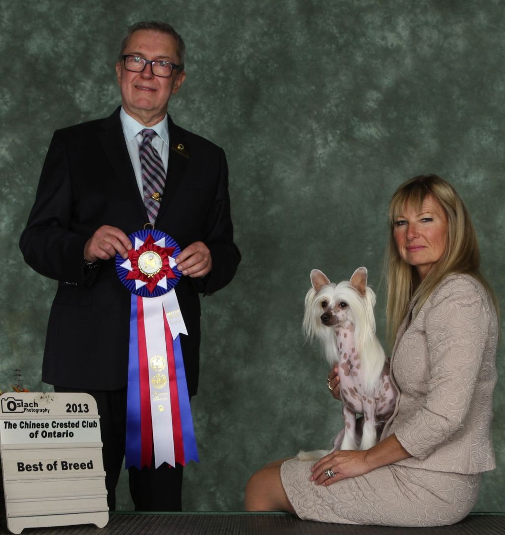 Bodeswell Pixietail Rockford