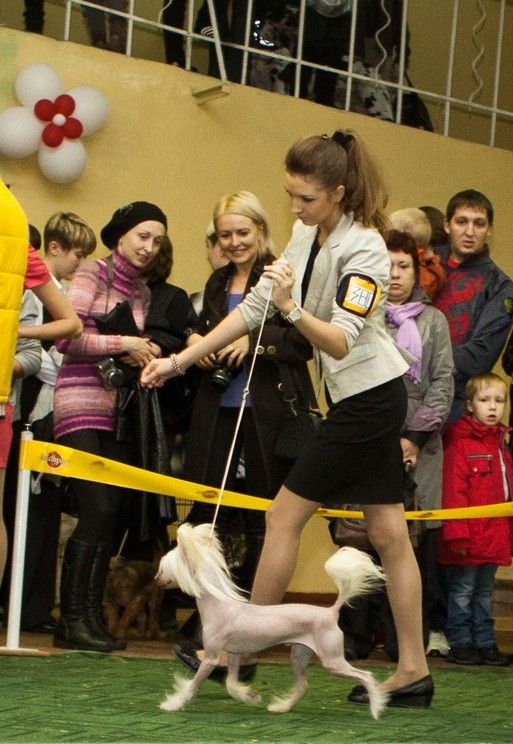 Lifasoria Viel Andegraund Sonik