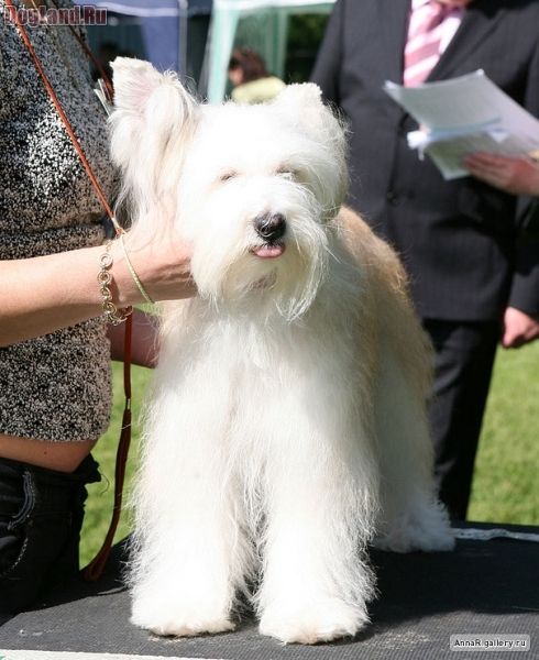 Zhemchuzhnaja Businka ot Lyali Beloy