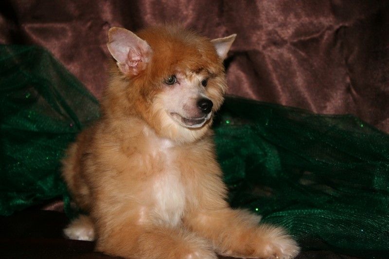 Almeria, The Hot Summer de Fageiro