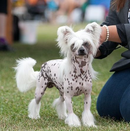 Aquacrest And Dirty Rich