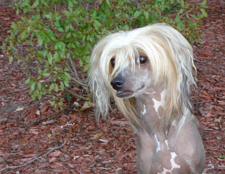 Rwanda's Little Gremlin Boy