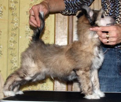 Tutti Frutti ot Lyali Beloy