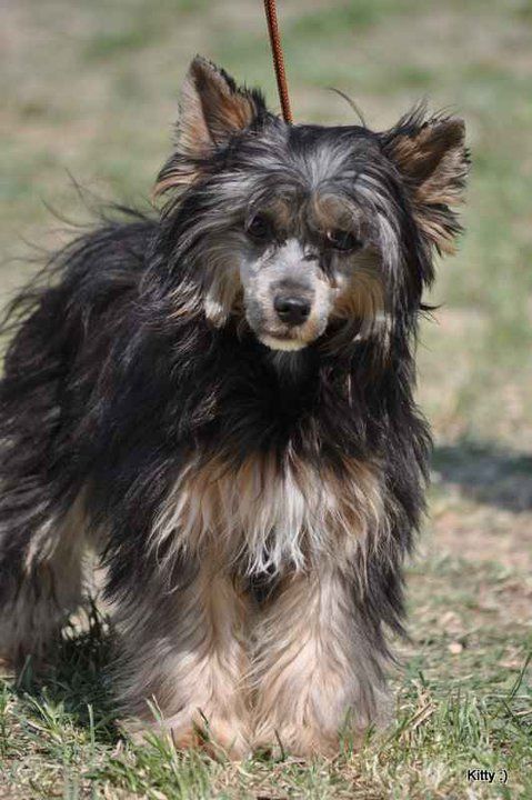 Puha - Luxus Porcelán Della