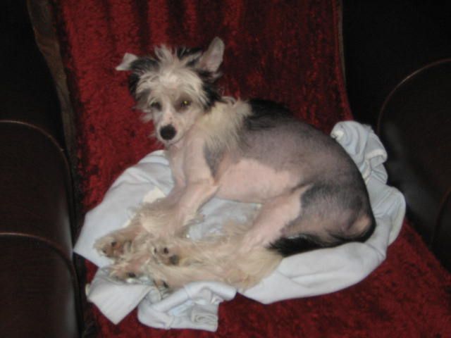 Nadia Regina Hossa Vija