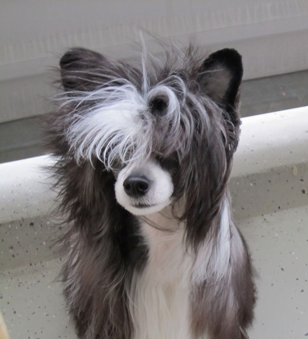 Chattanooga's Great Balls Of Fire