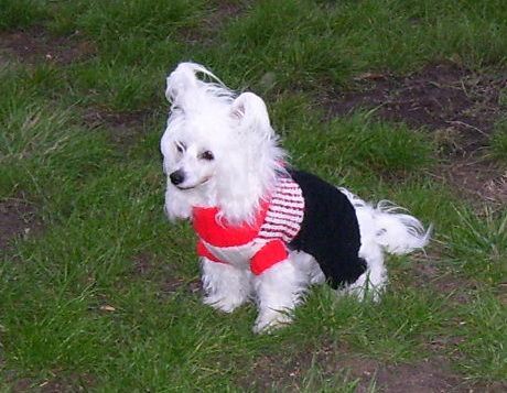 Evnika Ruah-in-vifanya