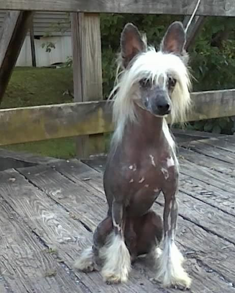 Risin Stars Raising The Bar