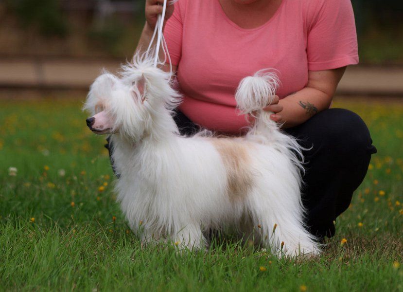 Pinky Twinky Kiss My Ass