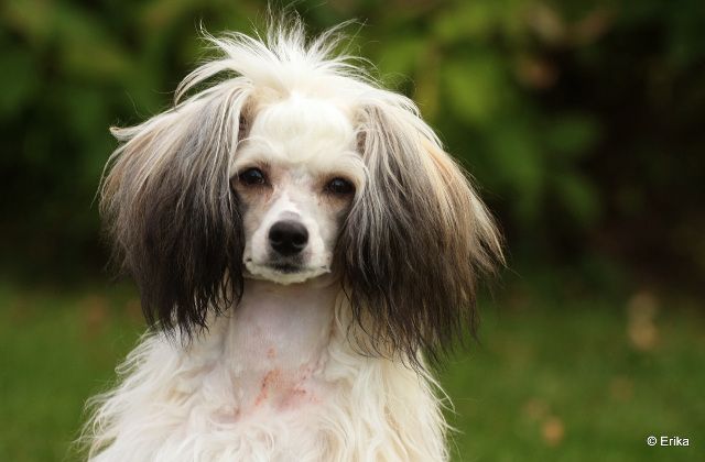 Pinky Twinky Know My Name