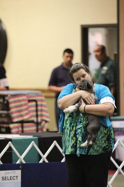 Dasha's On The Count Of Ten