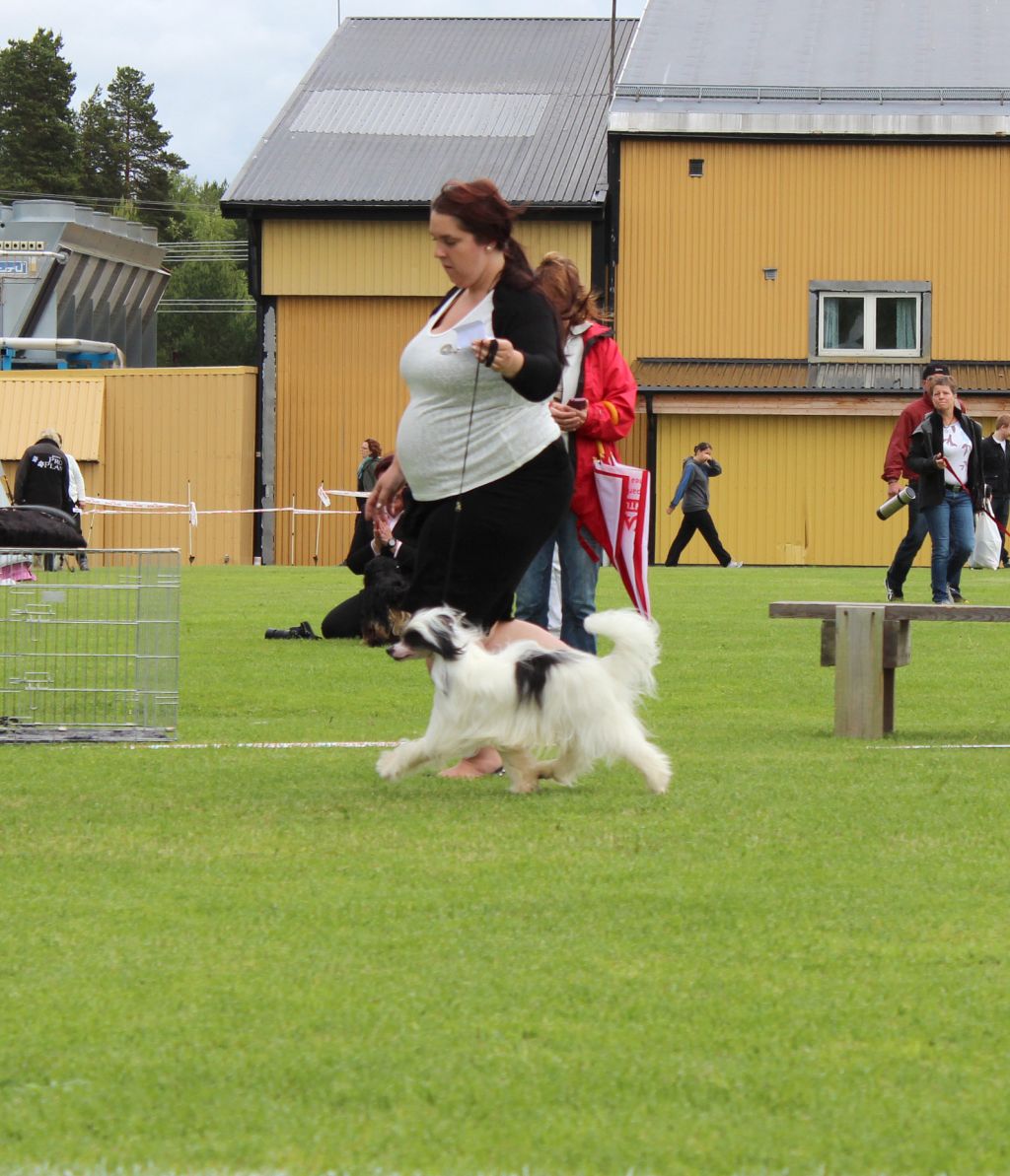 Sirocco Milky Way N Gamma Ray