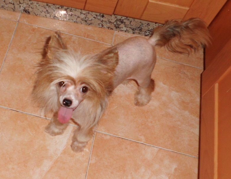 Erotic Be My Magic Harmony at L'Essence de Mon Tou