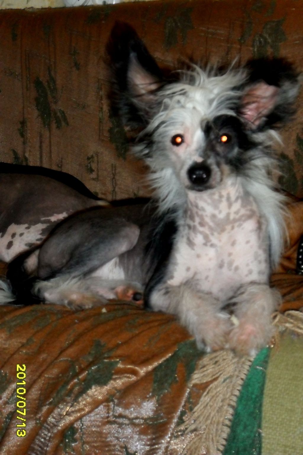 Kvirav Ocharovatelnie Glaski