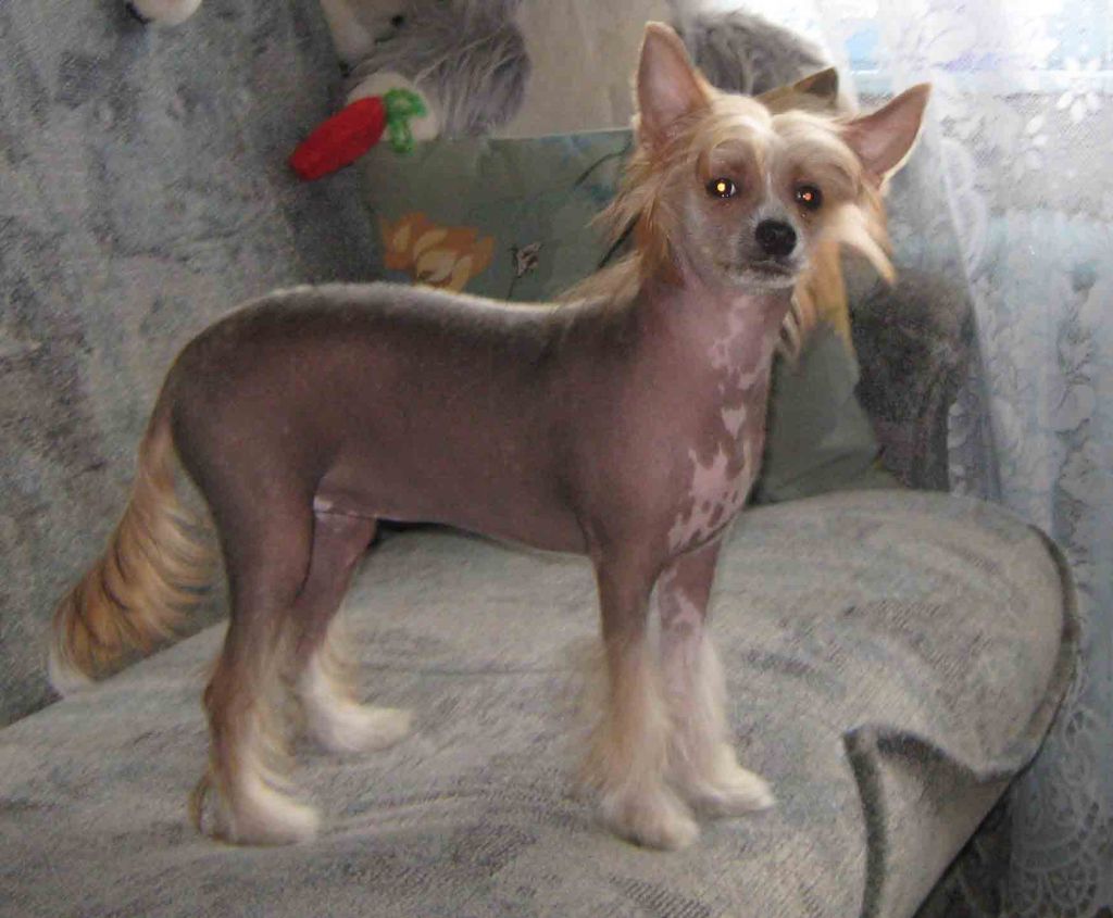 Eroticheskaya Skazka s Gory Skomorohov 