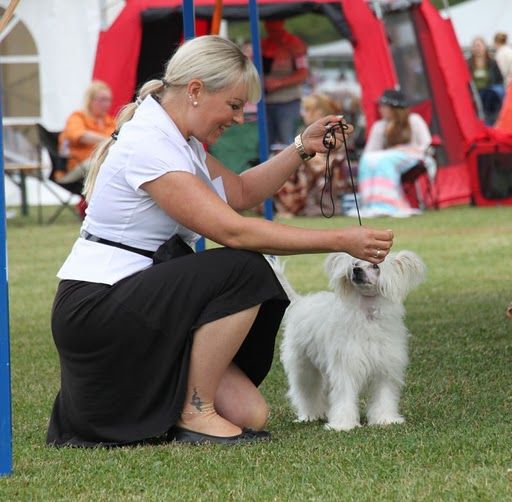 Unicorn Dream Angel Of Halloween