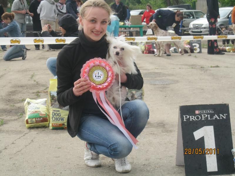 Gallurius Desire Glory 