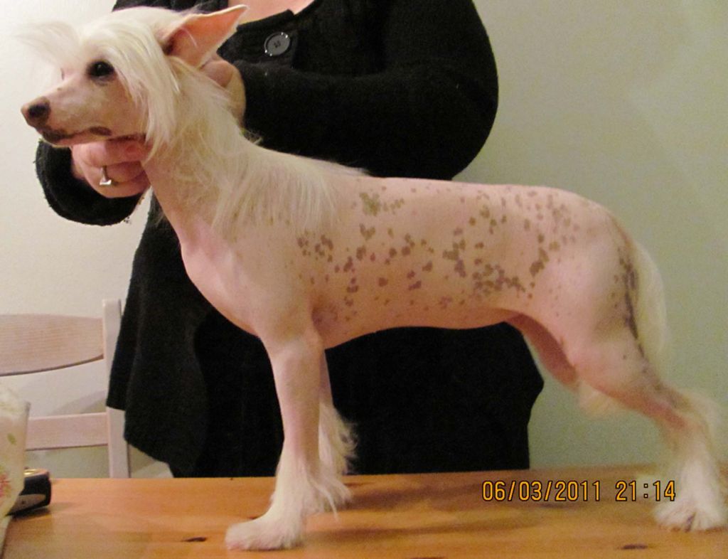 Sun Dan Winter Wonder Land