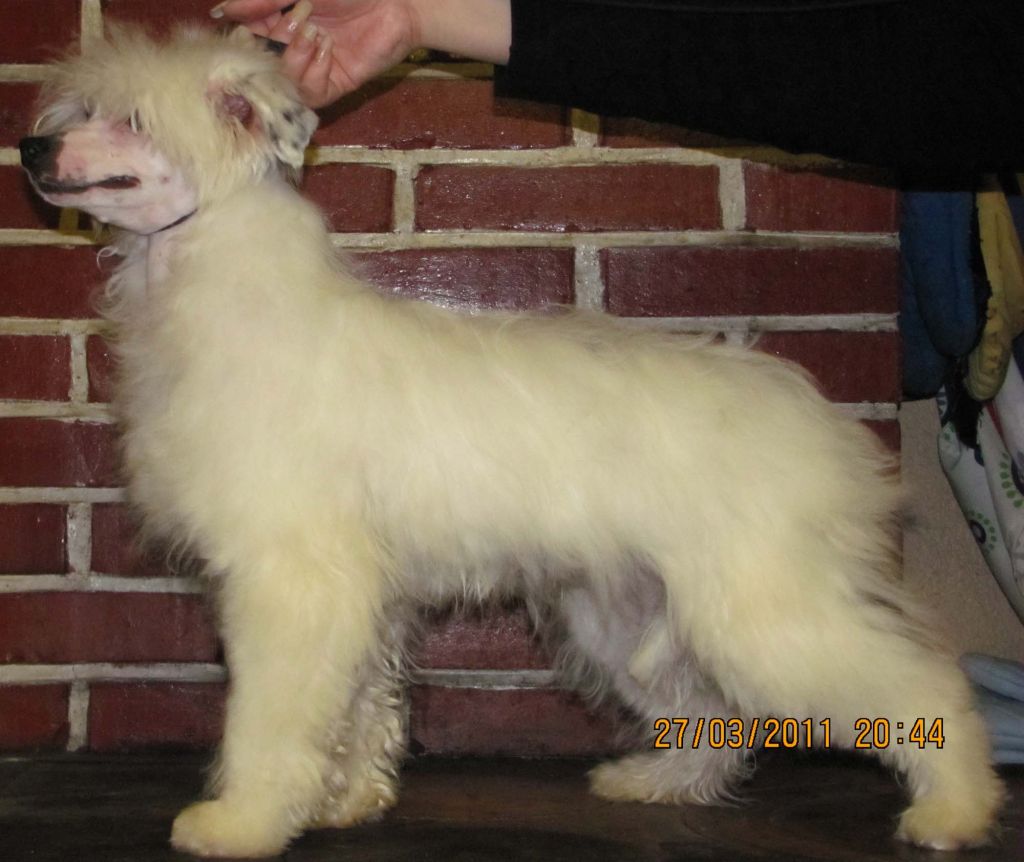 Sun Dan Winner Takes It All