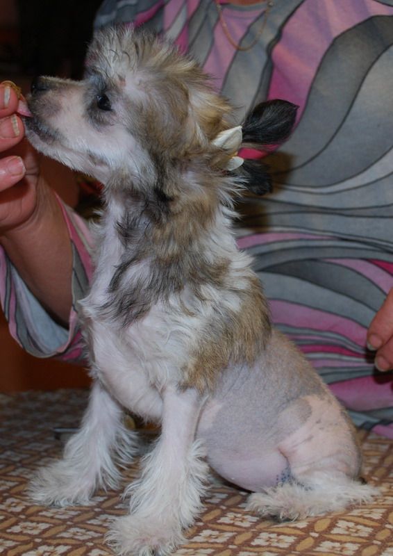 Treasure My Soul Epocha.   