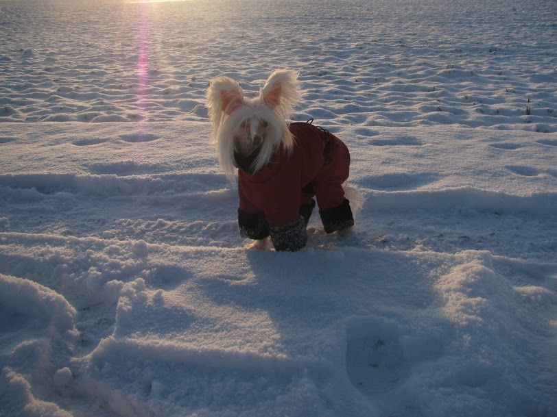 Mademoiselle Coco My Baltic Pearl