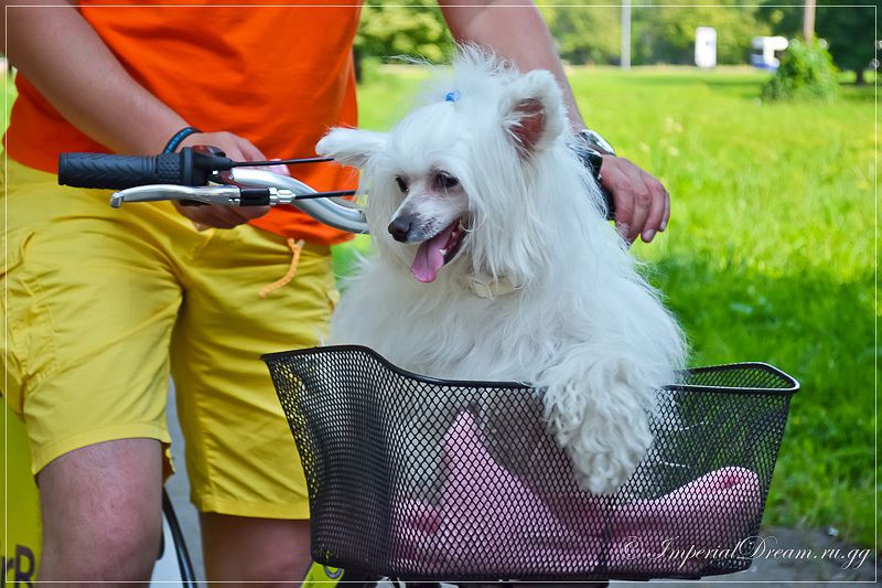 Milky Way My Baltic Pearl