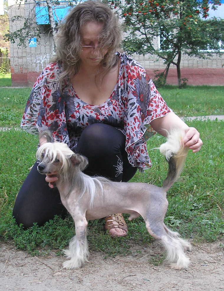 Tsenturion s Tushinskogo Doma