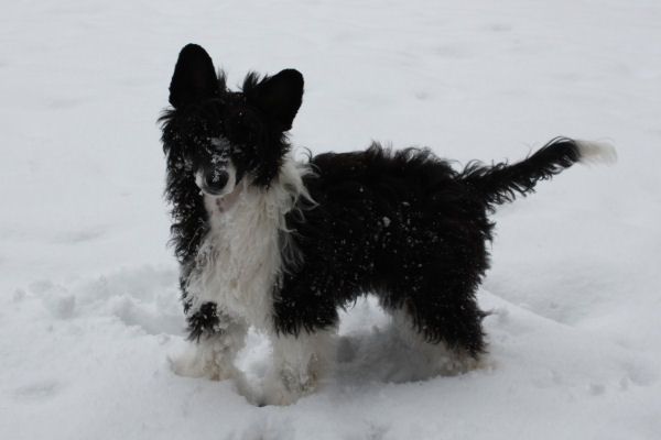 Belews Right On Time