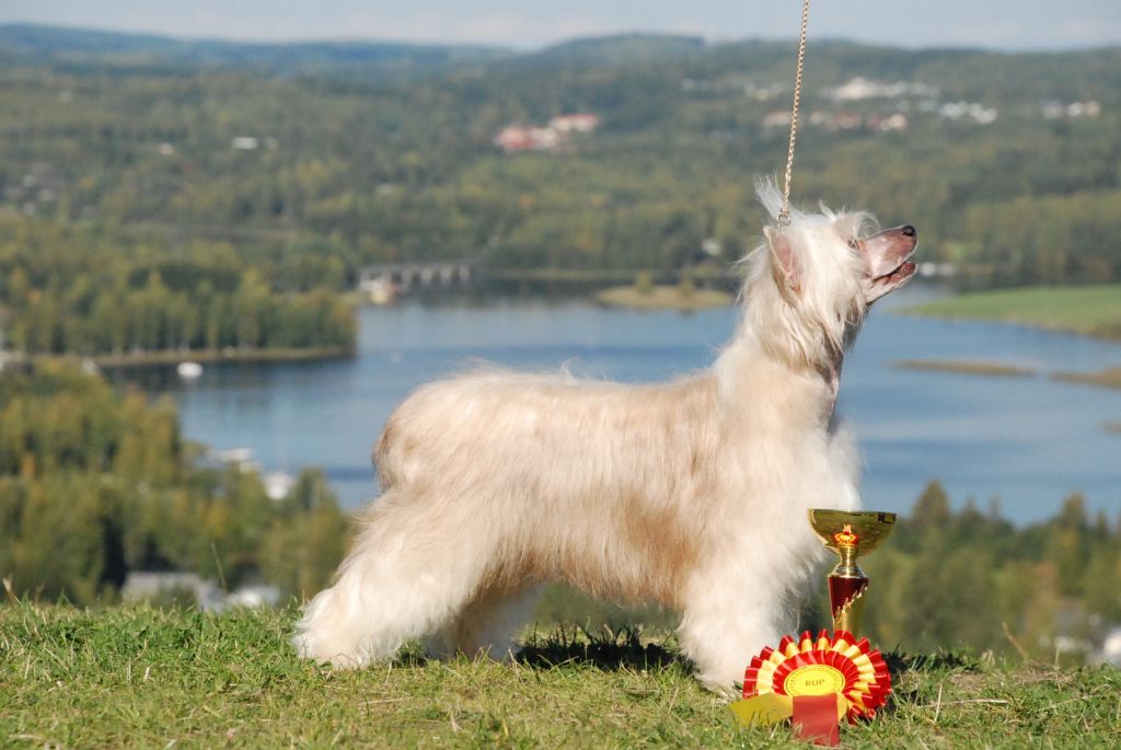 Ridgecrest's Most Exclusive