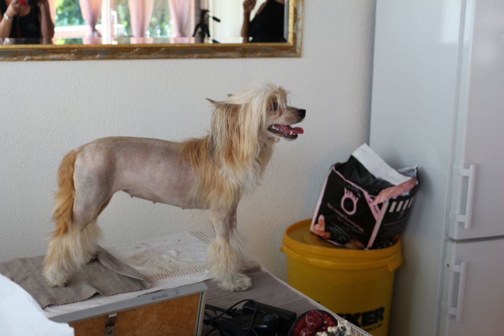 El Regreso de Evita Di China Latina