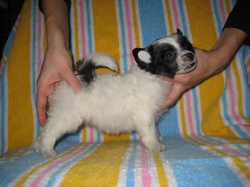 Yurmala Samo Ocharovanie