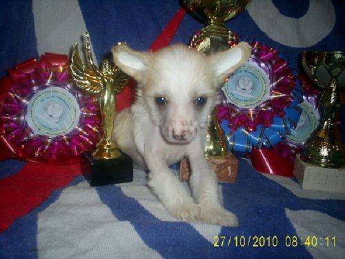 Yutta Zvezda Podiuma