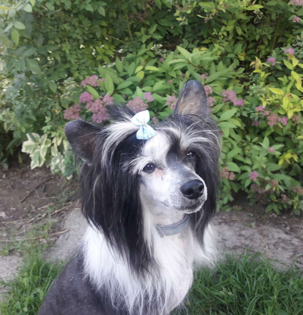 Zhen's Ain't Misbehavin'