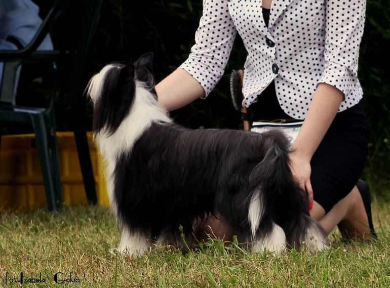 Buziak Na Dobranoc Innowacja