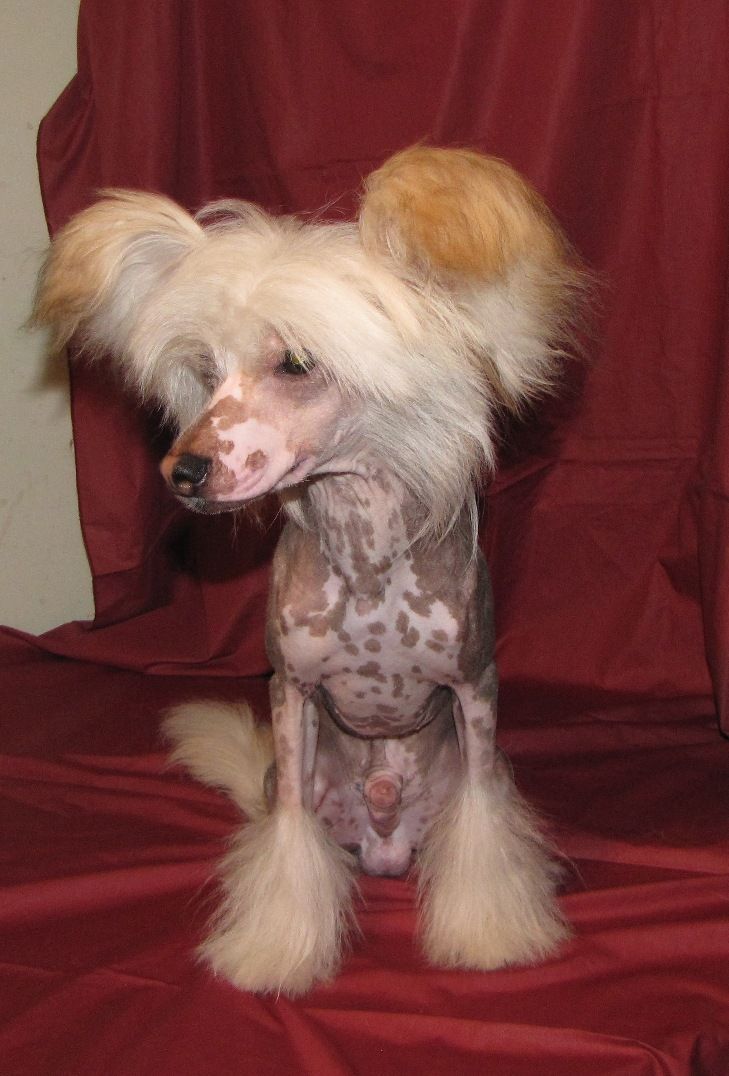 Naleks Art Liverpool