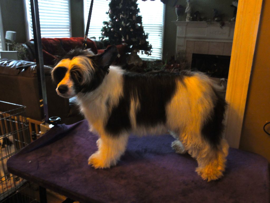 Six Gems Sweet Dreams Are Made of These