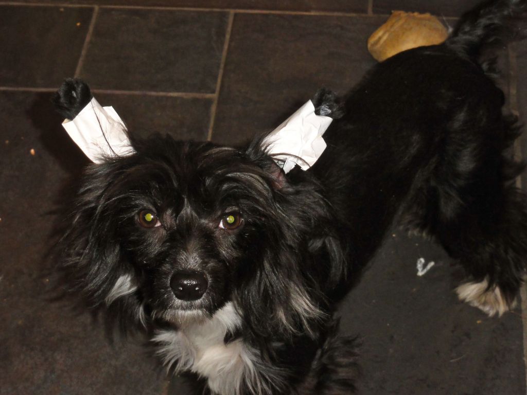 Six Gems Dreams Do Come True