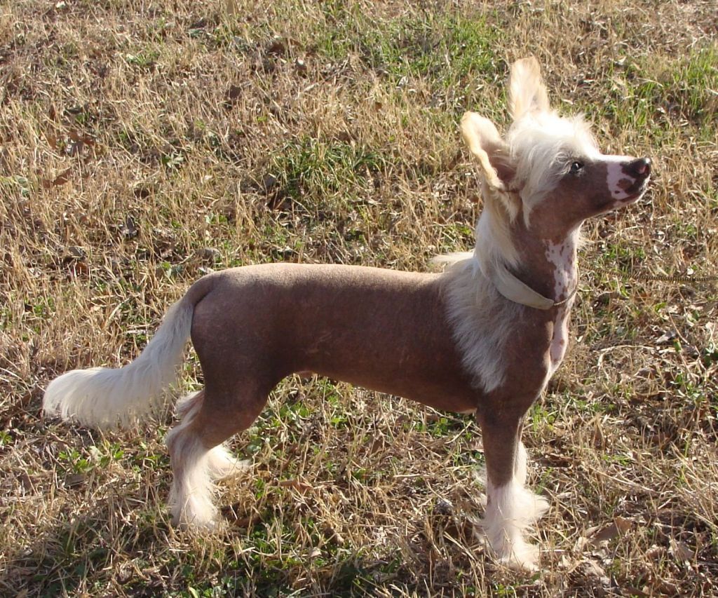 Hi-Life's Sirius Jubilee