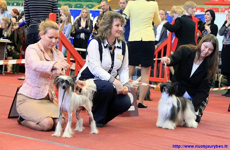 Darcy Nataki Fanrock