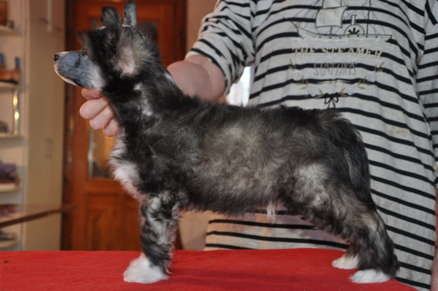 Kranar I Want It All