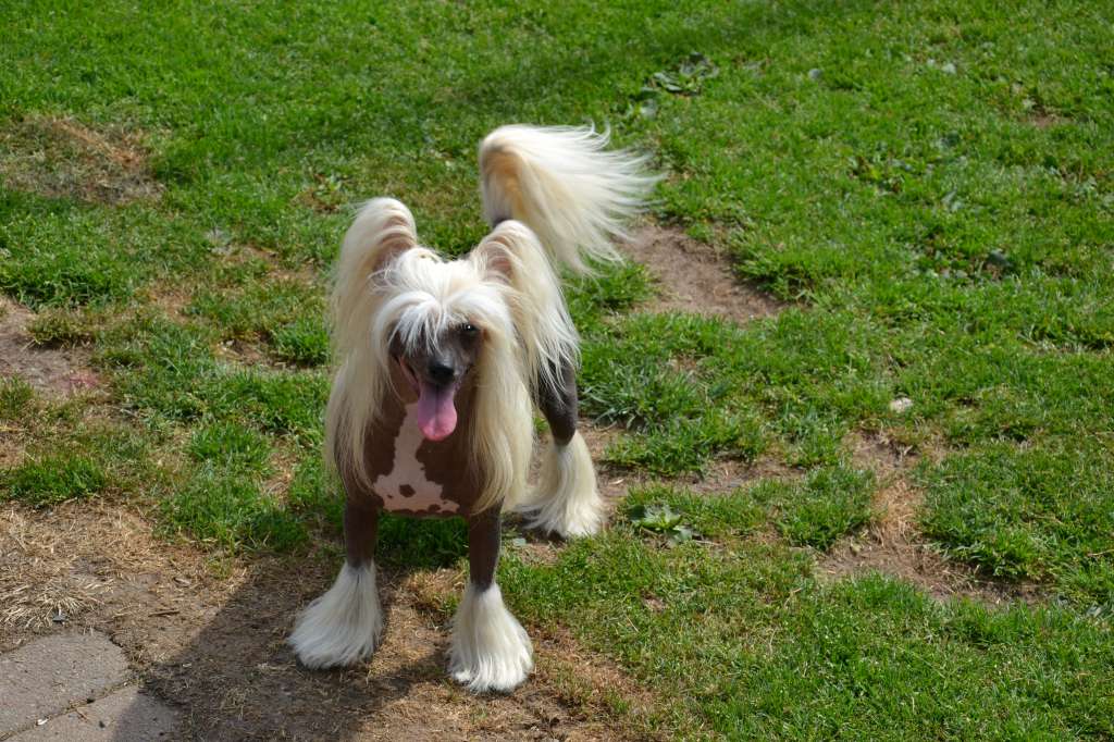 De La Mahafu's Princess Irina