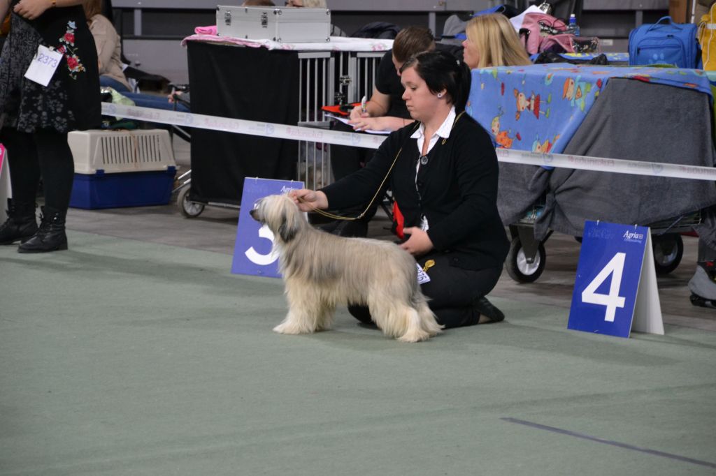 De La Mahafu's Princ I Did It