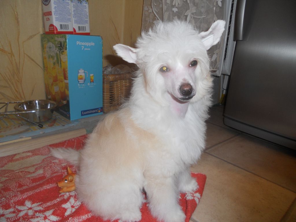 Katrin Sleem of Paradise