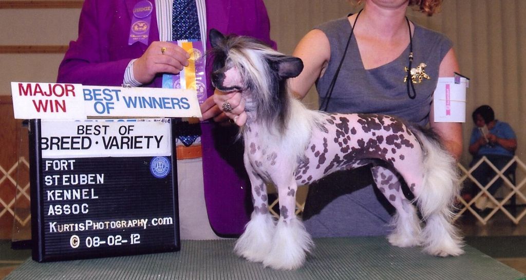 Creekside's Let Me Entertain You