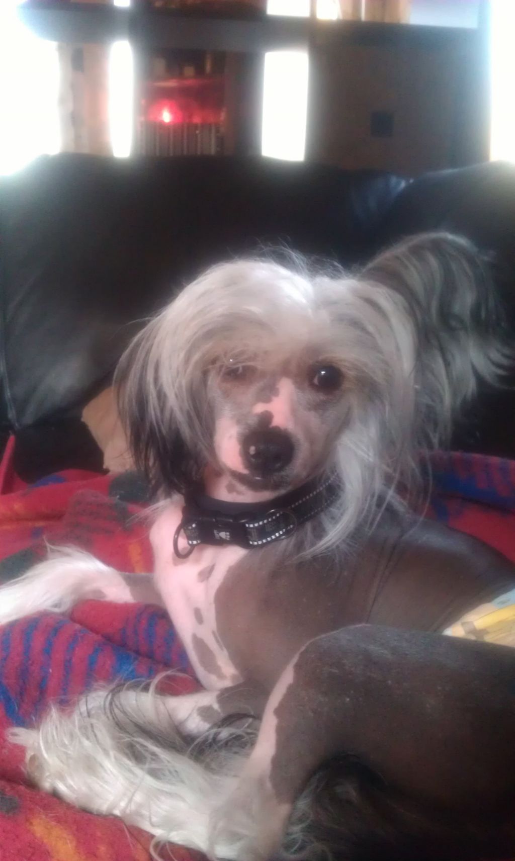 Poulot's Even Better