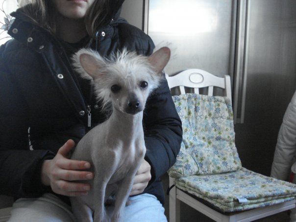 Barbiedolls Caramelle